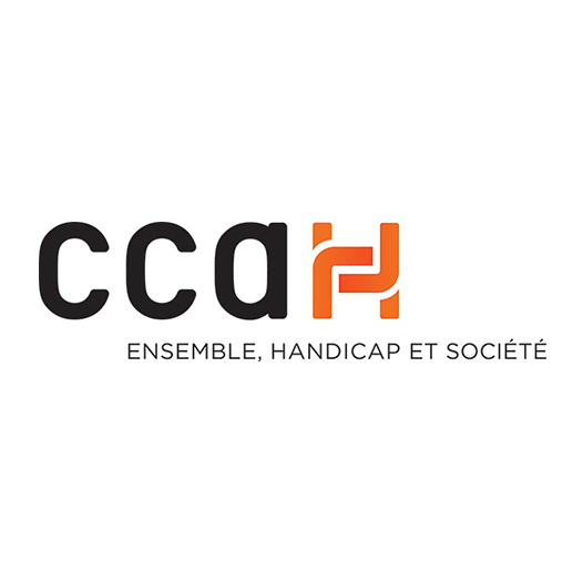 CCAH Comite national Coordination Action Handicap